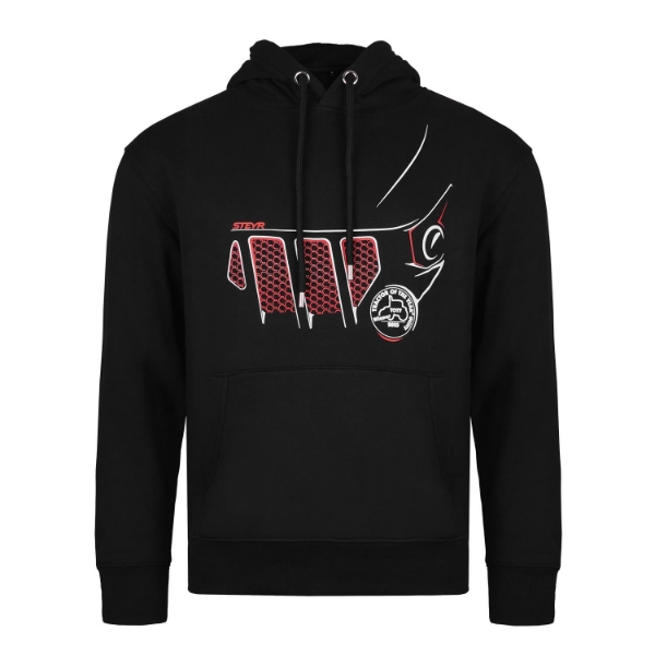 Picture of Hoodie, black, (men)