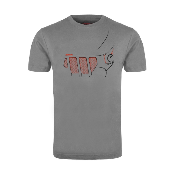 Picture of T-shirt, gray (unisex)
