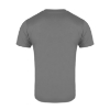 Picture of T-shirt, gray (unisex)